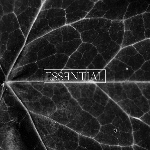 Essential 014