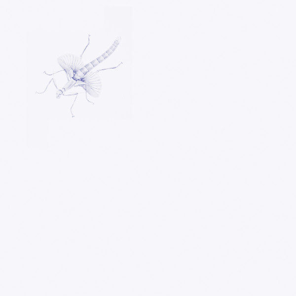 Entomologists