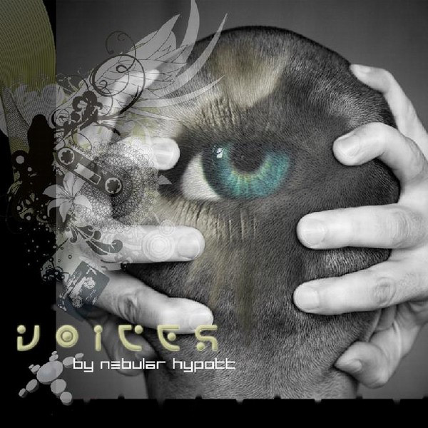 Voices