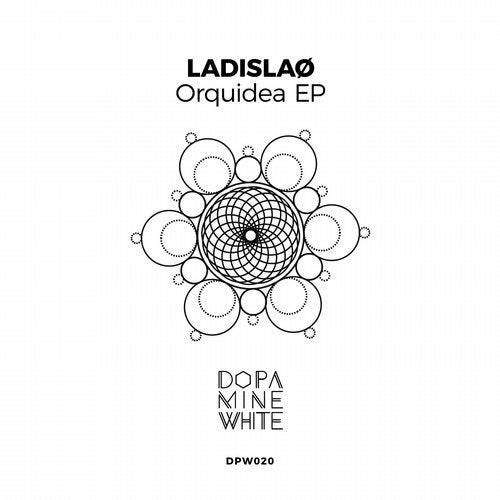 Orquidea