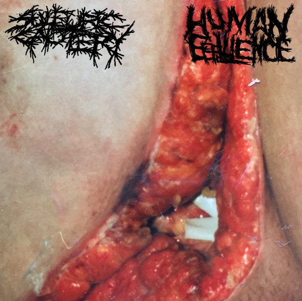 Sulfuric Cautery / Human Effluence