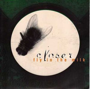 Fly In The Milk