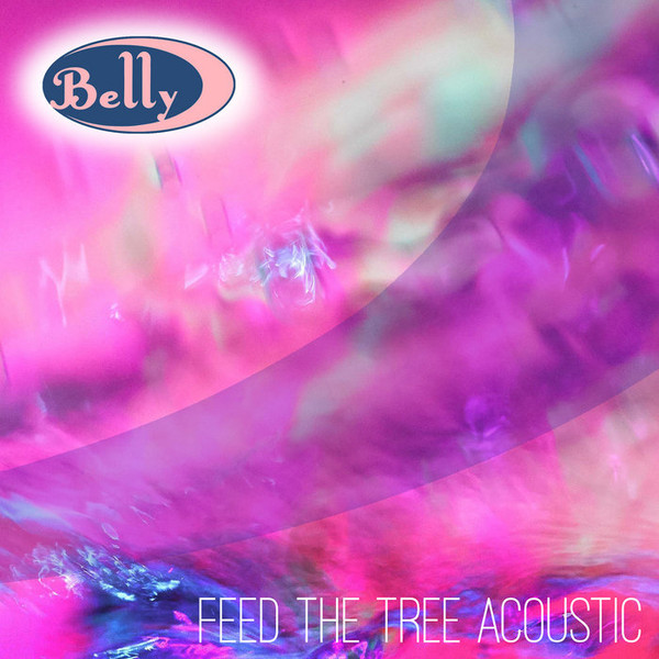 Feed The Tree Acoustic