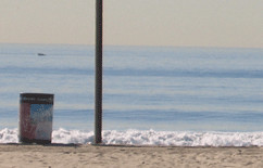 Venice Beach