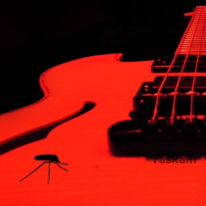 Mosquito Guitor