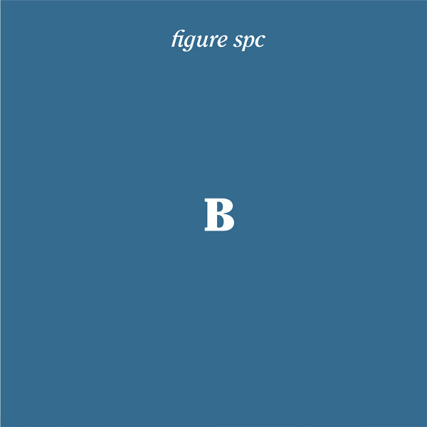 Figure SPC B