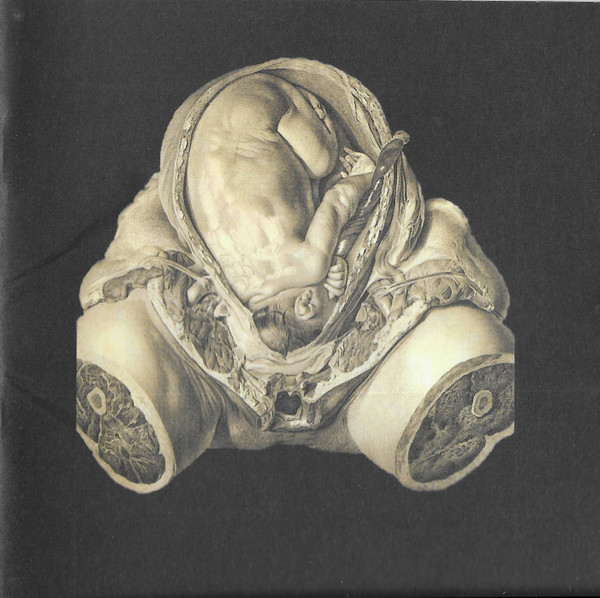 Orcustus