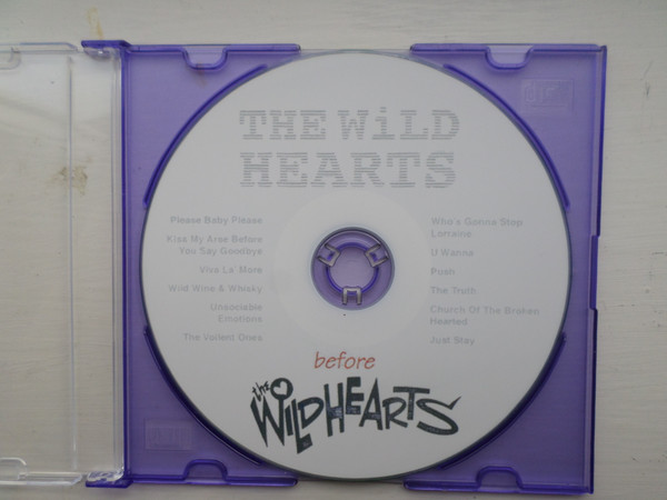 The Wild Hearts Before The Wildhearts