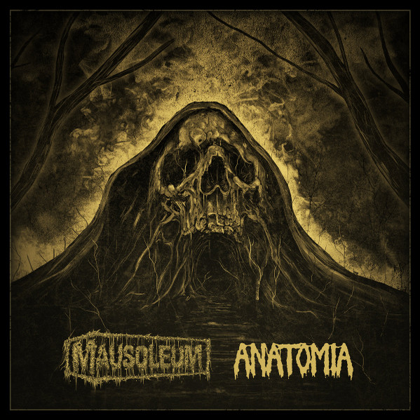 .:Nyctophilia:. / Anatomia