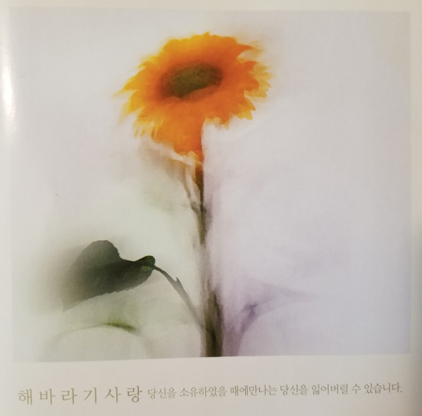 해바라기 사랑