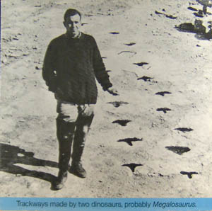 Trackways Made By Two Dinosaurs, Probably Megalosaurus