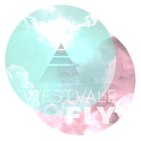 Fly