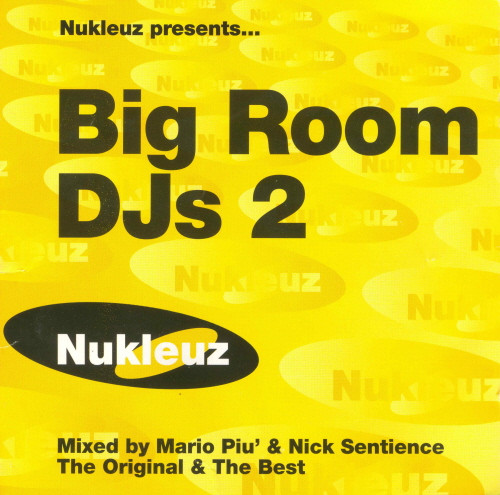 Big Room DJs 2