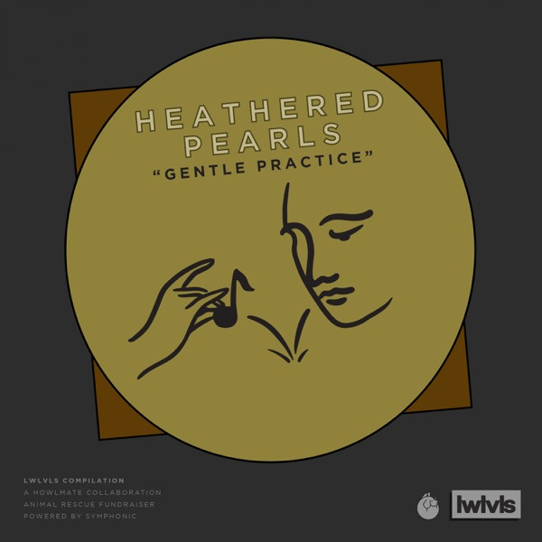 Gentle Practice