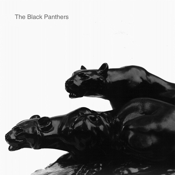 The Black Panthers
