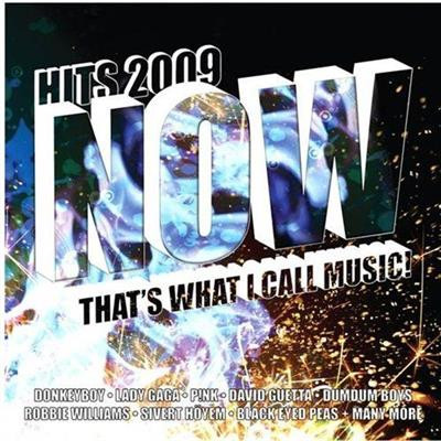 Now That's What I Call Music! Hits 2009
