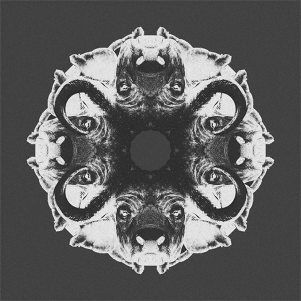 Cow Homework The Remixes