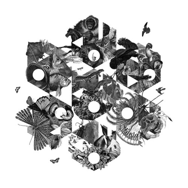 Various Artists Vol. 2