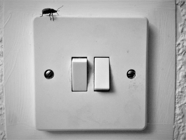 Bug Switch EP