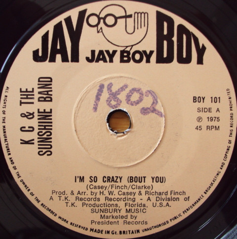 I'm So Crazy (Bout You)