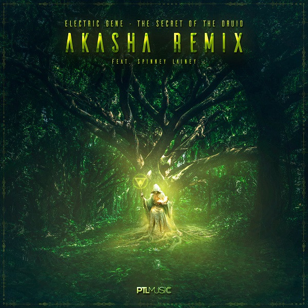 The Secret Of The Druid (Akasha Remix)