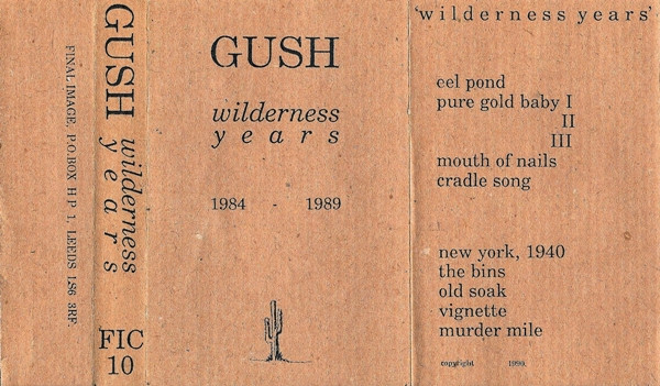 Wilderness Years 1984-1989
