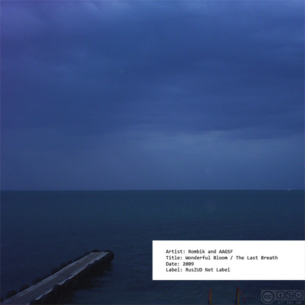 Wonderful Bloom / The Last Breath