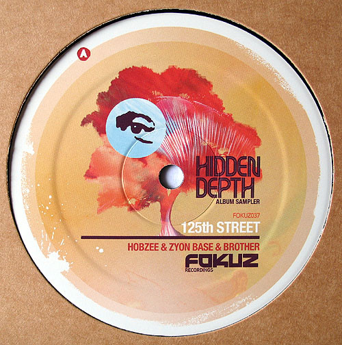 Hidden Depth Album Sampler