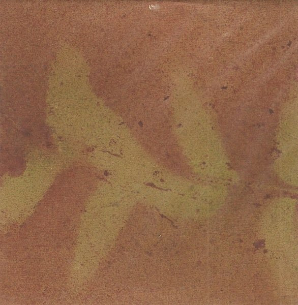 Eagle Arpegi