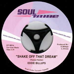 Shake Off That Dream