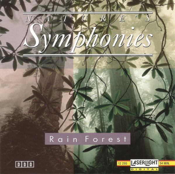 Rain Forest