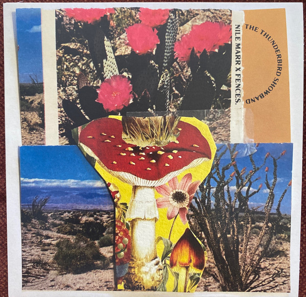 Plastic Valves for an Open Heart/The Thunderbird Showband