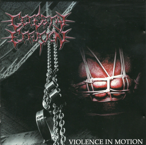 Violence In Motion