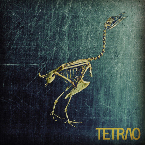 Tetrao V Collection - 2015​/​2020