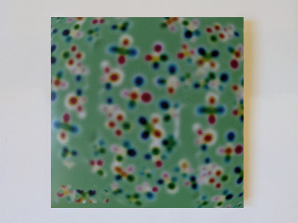 Picnic