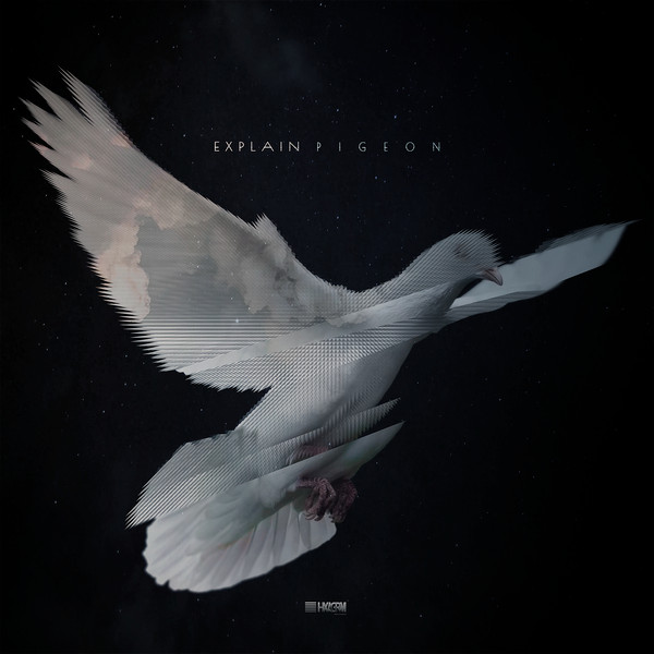 Pigeon
