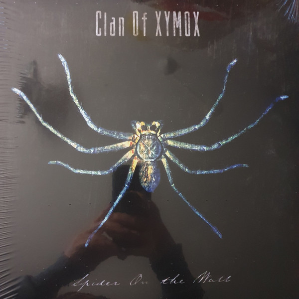 Spider On The Wall