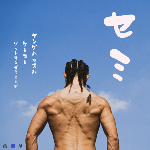 セミ