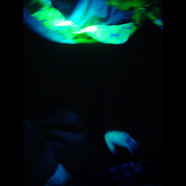 Live Halloween 2004 At The Asylum