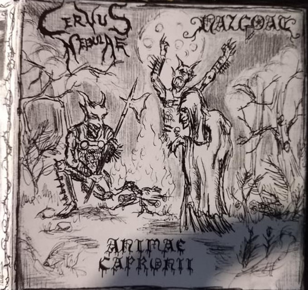 Animae Capronii / Cervus Nebulae / Nazgoat