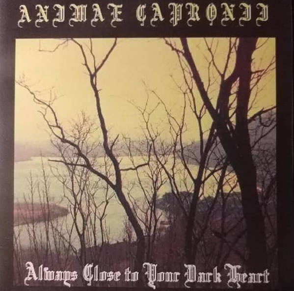 Always Close To Your Dark Heart