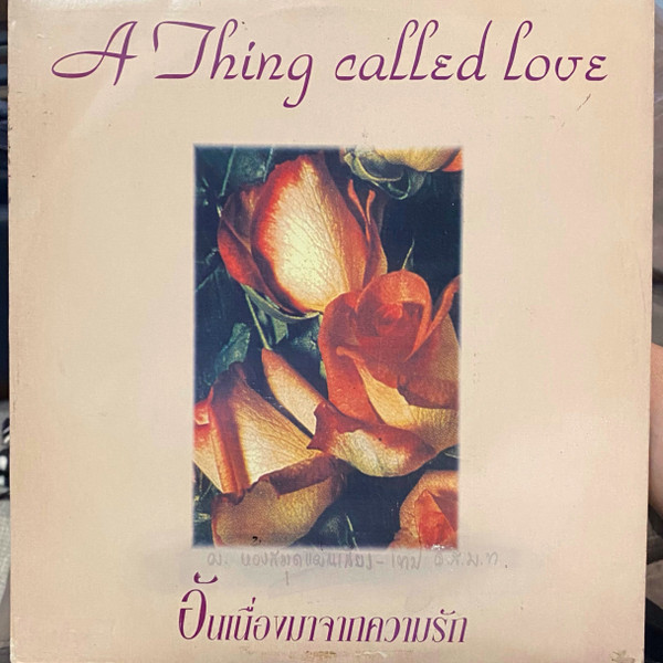 อันเนื่องมาจากความรัก = A Thing Called Love