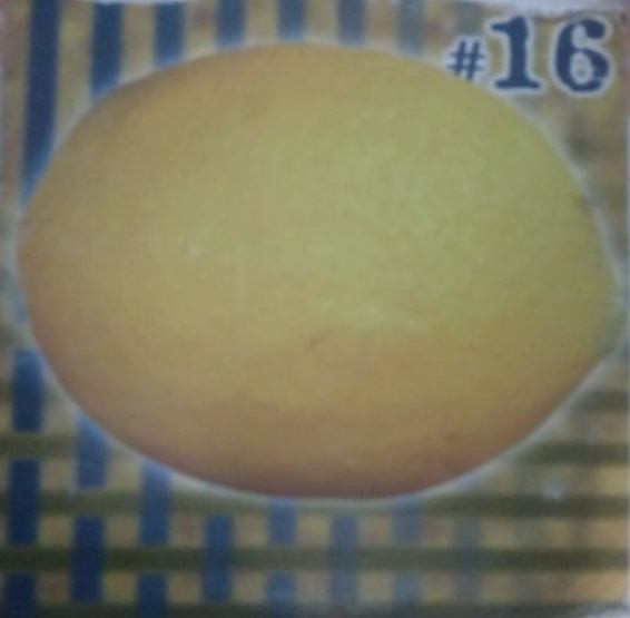 Lemon #16