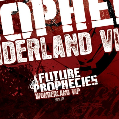 Wonderland (VIP) / The Persecutor