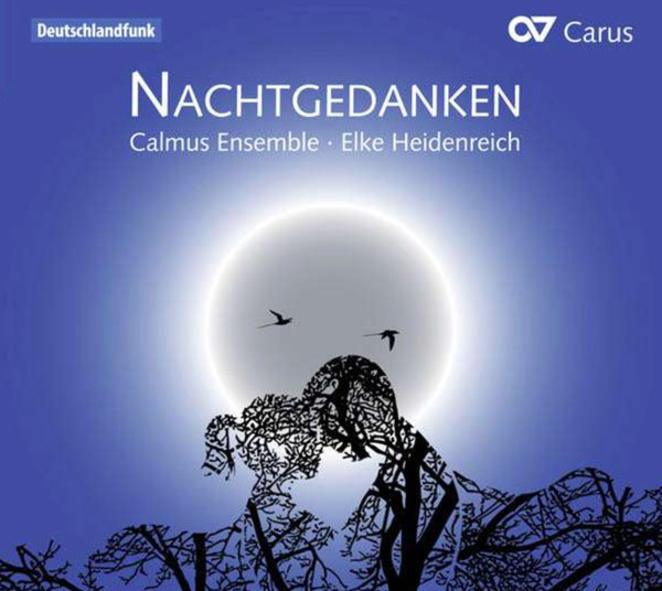 Nachtgedanken