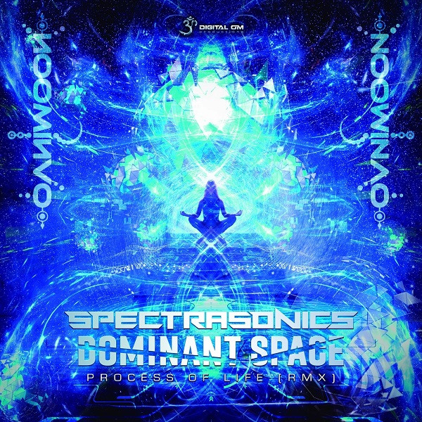 Process Of Life (Spectra Sonics & Dominant Space Remix)
