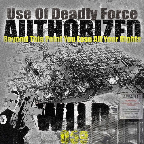 Use Of Deadly Force Authorized