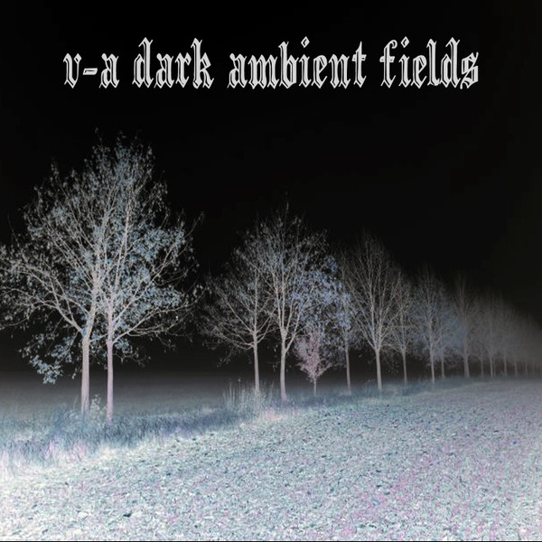 Dark Ambient Fields