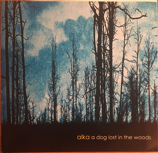 A Dog Lost In The Woods