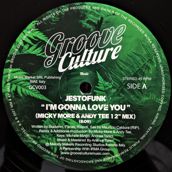 I'm Gonna Love You (Micky More & Andy Tee 12" Mix)